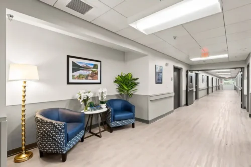 A modern hospital hallway with light wood floors and bright lighting. Two blue chairs and a lamp are beside a plant on the left. A calming and inviting atmosphere.
