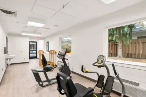 A bright gym room features two exercise bikes and a wooden parallel bar frame. Large window shows trees outside, creating a calm, inviting atmosphere.
